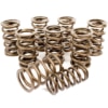 So. Cal. Classic VW Parts Engle Dual High Performance Racing Valve Springs