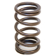 Valve Spring