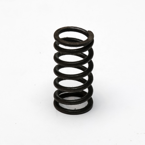 Valve Spring