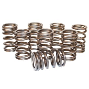 Valve Spring