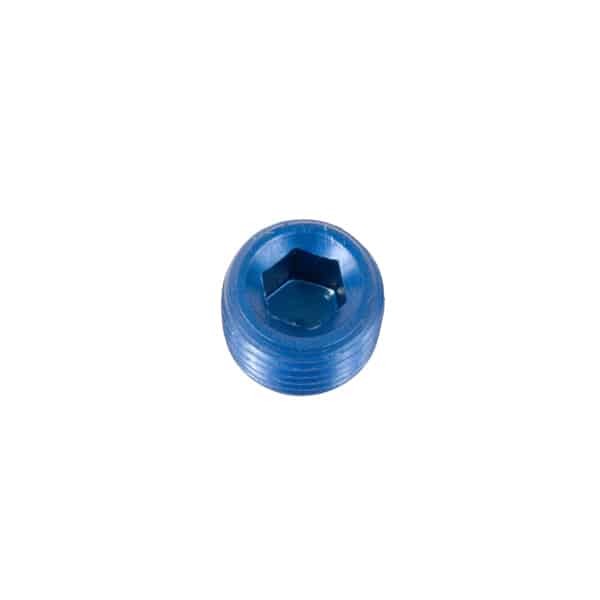 1/4 NPT Allen Plug